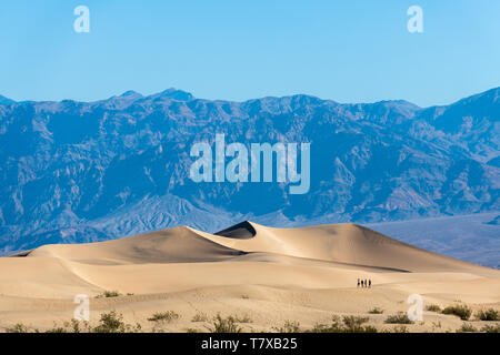 Mesquite flat dunes de sable, dunes, Death Valley National Park, California, USA. *** *** Légende locale Banque D'Images