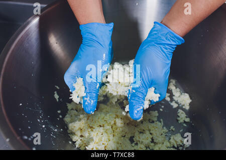 La fabrication du fromage traditionnel dans une petite entreprise. Bouilloire fromage mains Close-up Vue de dessus Banque D'Images