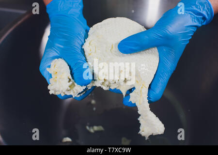 La fabrication du fromage traditionnel dans une petite entreprise. Bouilloire fromage mains Close-up Vue de dessus Banque D'Images