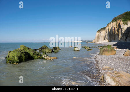 Dans les falaises de Varengeville-sur-Mer (nord de la France), une ville située le long de la "Côte d'Albâtre' (côte normande), dans la zone appelée "Pays de Caux *** légende locale Banque D'Images