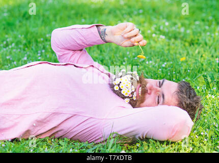 Homme barbu avec fleurs daisy dans grassplot barbe se coucha sur l'herbe, l'arrière-plan. Antihistaminique Allergie et concept. Homme avec barbe visage souriant renifle le pissenlit. Marguerites avec macho dans beard relaxant. Banque D'Images
