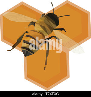 Illustration d'un poly faible sur Nid d'abeilles Banque D'Images