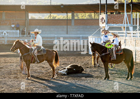 L'ensemble des membres de la famille du célèbre charros au cours d'un cordage d'équipe à diriger la famille dans la session pratique Charreria Jalisco Highlands ville de Capilla de Guadalupe, au Mexique. Banque D'Images