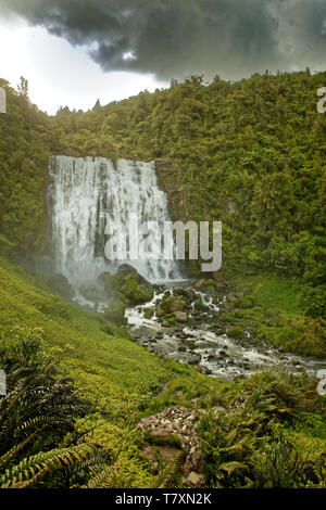 Marokopa Falls, île du nord de la Nouvelle-Zélande. Banque D'Images