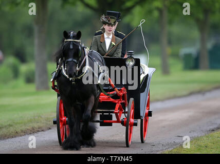 Lady Louise Windsor entraîne un transport durant le Royal Windsor Horse Show à Windsor, Berkshire. Banque D'Images