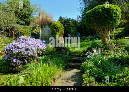 Flore et faune, jardin privé général vues de mon jardin. Banque D'Images