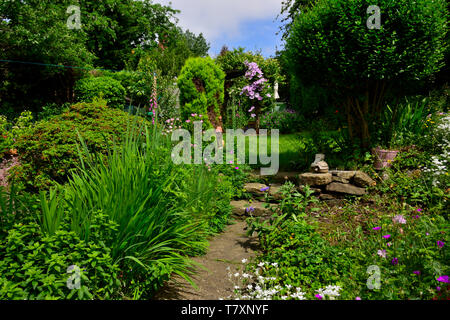 Flore et faune, jardin privé général vues de mon jardin. Banque D'Images