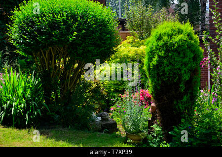 Flore et faune, jardin privé général vues de mon jardin. Banque D'Images