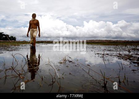 Abdul Majed utilisé pour être un cultivateur de riz dans la province de Khulna. Il fait maintenant une vie de subsistance comme un agriculteur de crevettes. Avec l'augmentation du niveau de la mer due au réchauffement climatique, de vastes zones avec les rizières sont en train d'être détruit par l'intrusion d'eau. Avec les parcelles détruites, Abdul tourné les mêmes rizières dans la crevetticulture au lieu de la ferme. Il fait maintenant plus d'argent qu'avant, la prestation de 12 à 15 caisses de crevettes toutes les deux semaines. - Cela a été bon pour mon économie, dit-il, mais admet l'évolution des régimes climatiques et de l'intrusion d'eau de l'inquiète. Selon la Banque mondiale, le Bangladesh côtières peuvent facilement Banque D'Images