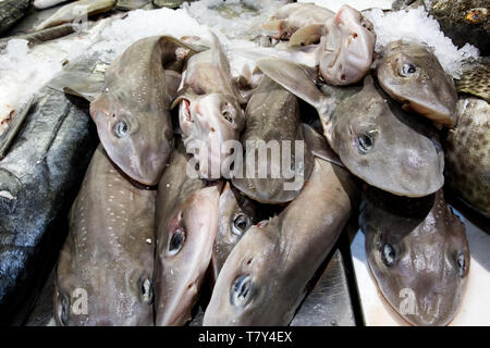 Le marché aux poissons de Billingsgate Banque D'Images