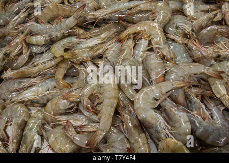 Le marché aux poissons de Billingsgate Banque D'Images