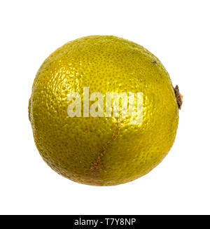 Aromatisé citron mûrs sur un fond blanc. Banque D'Images