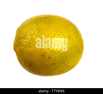 Aromatisé citron mûrs sur un fond blanc. Banque D'Images