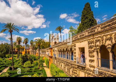 Voir l'Alcazar de Galeria de Grutesco la Royal Palace Sevilla Espagne. Banque D'Images