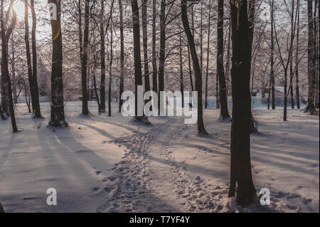 Chemin couvert de neige par parc. Parc gelé en hiver sous la neige. La Lettonie. Mer Baltique. Banque D'Images