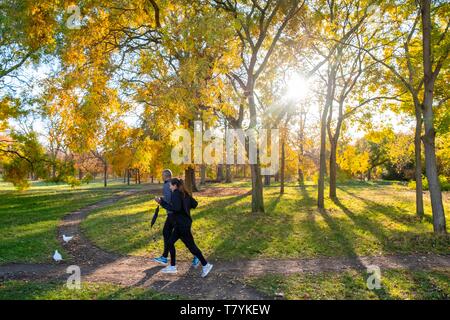 France, Paris, le Bois de Vincennes, à l'automne Banque D'Images