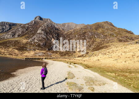 Un jeune randonneur est à côté d'Llyn Idwal en regardant vers le sommet d'Y Garn sur l'Glyderau de montagnes, le parc national de Snowdonia, le Pays de Galles Banque D'Images