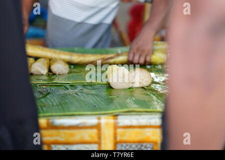 Lemang Bamboo une asiatique traditionnelle des aliments à base de riz gluant, le lait de coco et le sel, cuit dans un bâton de bambou évidé Banque D'Images