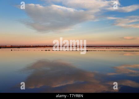 France, Aude, Corbières, Narbonne, Gruissan, les Salins (marais) à la Cambuze du Saunier Banque D'Images