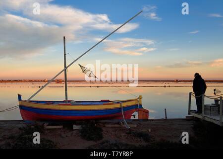 France, Aude, Corbières, Narbonne, Gruissan, les Salins (marais) à la Cambuze du Saunier Banque D'Images