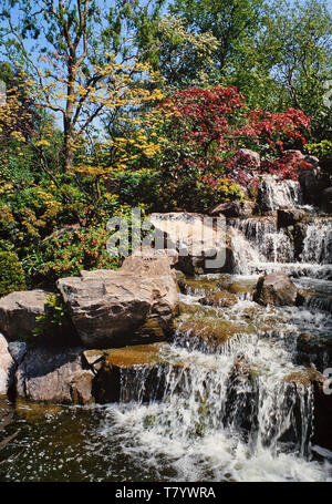 Jardin japonais avec cascade Banque D'Images