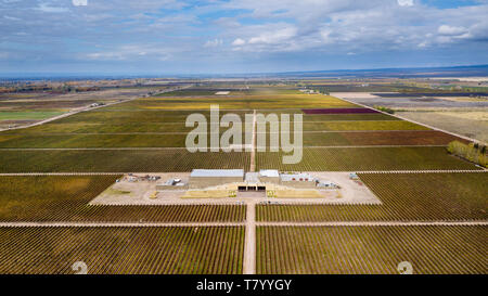 Drone Vue aérienne de l'édifice avant de Bodega Septima Winery, Agrelo, Lujan de Cuyo, Mendoza, Argentine Banque D'Images