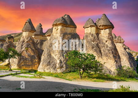 Cheminées de fées, Pasabag, près de Zelve, Goreme, Cappadoce, Turquie Banque D'Images