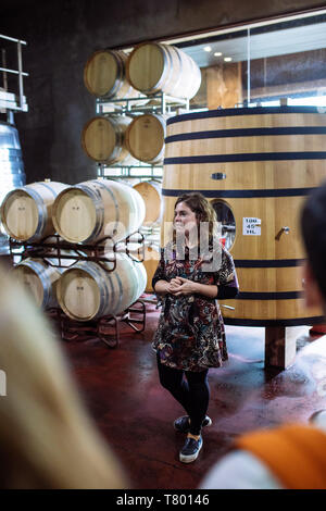 Femme dans le guide des vins en fûts prix Bodega Septima, Agrelo, Lujan de Cuyo, Mendoza, Argentine Banque D'Images
