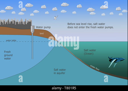 L'intrusion d'eau, le changement climatique, illustration Banque D'Images