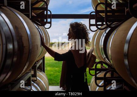 Caucasian woman profil en tonneau de chêne touche rétroéclairage dans Bodega Septima, Agrelo, Lujan de Cuyo, Mendoza, Argentine Banque D'Images