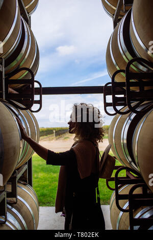 Caucasian woman profil en tonneau de chêne touche rétroéclairage dans Bodega Septima, Agrelo, Lujan de Cuyo, Mendoza, Argentine Banque D'Images