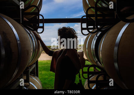 Caucasian woman profil en tonneau de chêne touche rétroéclairage dans Bodega Septima, Agrelo, Lujan de Cuyo, Mendoza, Argentine Banque D'Images