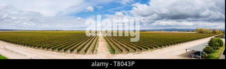 Aerial vue panoramique sur le vignoble de Bodega Septima depuis sa terrasse, Agrelo, Lujan de Cuyo, Mendoza, Argentine Banque D'Images