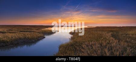 Ruisseau de marée dans la mer des Wadden au coucher du soleil, de la mer du Nord, Basse-Saxe mer des Wadden Parc National, Basse-Saxe, Allemagne Banque D'Images