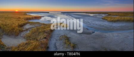 Ruisseau de marée dans la mer des Wadden au coucher du soleil, de la mer du Nord, Basse-Saxe mer des Wadden Parc National, Basse-Saxe, Allemagne Banque D'Images