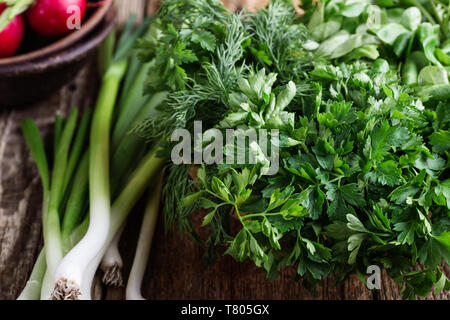 Plante fraîche légumes verts et herbes ingrédient pour la cuisson sur la table en bois. Arrière-plan de l'alimentation végétalienne avec la coriandre, persil, aneth, oignon vert, radi Banque D'Images