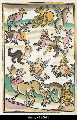 Conrad de Megenberg, créatures mythiques, 15e siècle Banque D'Images