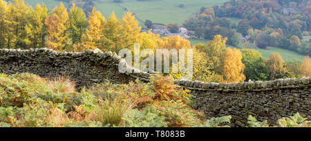 Un mur en pierre sèche et couleurs d'automne autour de Tonbridge, dans le Wharfedale Parc National des Yorkshire Dales, Yorkshire, Angleterre, Royaume-Uni, Europe Banque D'Images