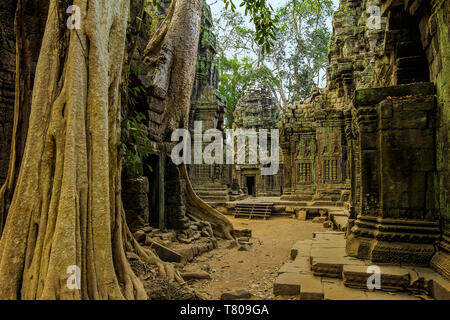 Galeries et à l'entrée de gopura Ta Prohm temple du 12ème siècle, un lieu de tournage de Tomb Raider, l'UNESCO, Angkor, Siem Reap, Cambodge, Indochine, Asie Banque D'Images