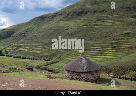 Malkerns, au Lesotho. Shepherd's hutte de terre dans les collines près de la ville de Mokhotlong, au nord-est du Lesotho, l'Afrique. Banque D'Images