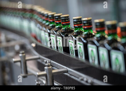 Wolfenbüttel, en Allemagne. 10 mai 2019. Jägermeister bouteilles sont transportées sur un tapis roulant dans l'agrandissement de l'usine de remplissage fabricant de boissons Jägermeister. Avec cette expansion, Jägermeister a, selon ses propres informations, réalisé l'une des plus grandes usines d'embouteillage de spiritueux en Europe. Photo : Christophe Gateau/dpa dpa : Crédit photo alliance/Alamy Live News Banque D'Images