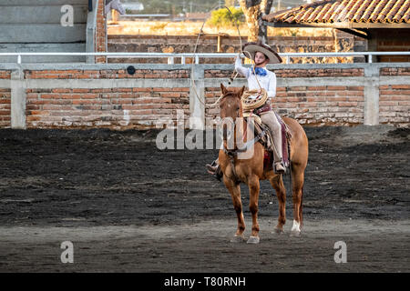 Juan Franco pratique ses compétences corde pendant la session de pratique familiale Charreria dans les hautes terres de Jalisco ville de Capilla de Guadalupe, au Mexique. La famille Franco mexicain a dominé pendant 40 ans de rodéo et a remporté trois championnats nationaux, cinq deuxièmes places et 5 troisièmes places. Banque D'Images