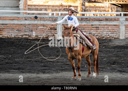 Juan Franco pratique ses compétences corde pendant la session de pratique familiale Charreria dans les hautes terres de Jalisco ville de Capilla de Guadalupe, au Mexique. La famille Franco mexicain a dominé pendant 40 ans de rodéo et a remporté trois championnats nationaux, cinq deuxièmes places et 5 troisièmes places. Banque D'Images