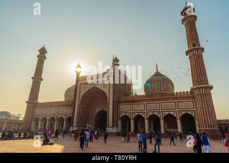 Coucher du soleil à Jama Masjid, Old Delhi, Inde, Asie Banque D'Images
