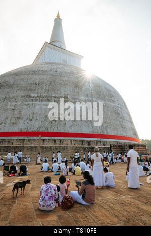 Saya Ruwanweli Dagoba (Stupa de sable doré), Anuradhapura, UNESCO World Heritage Site, North Central Province, Sri Lanka, Asie Banque D'Images