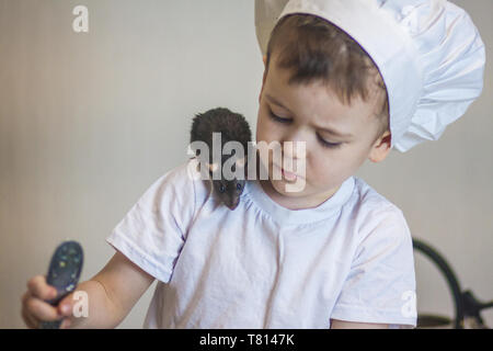 Le concept d'un café pour les enfants. Un garçon dans un costume de Cook est la cuisson. Une souris grise se trouve sur l'épaule d'un enfant. Banque D'Images