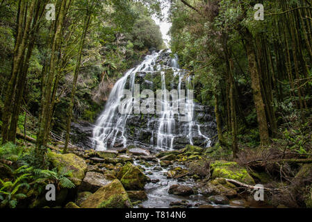 Nelson falls Tasmanie Banque D'Images