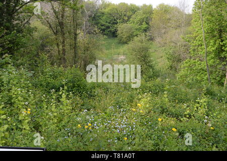 Site de l'Amphithéâtre Romain du iie siècle, Cirencester, England Banque D'Images