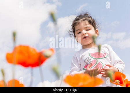 Portrait d'une petite fille sur le champ de fleurs de pavot en face de ciel nuageux Banque D'Images