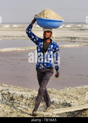 Du Sambhar, Inde - Février 04, 2019 : Indian man carrying bassin avec du sel sur sa tête sur du Sambhar Salt Lake. Rajasthan Banque D'Images